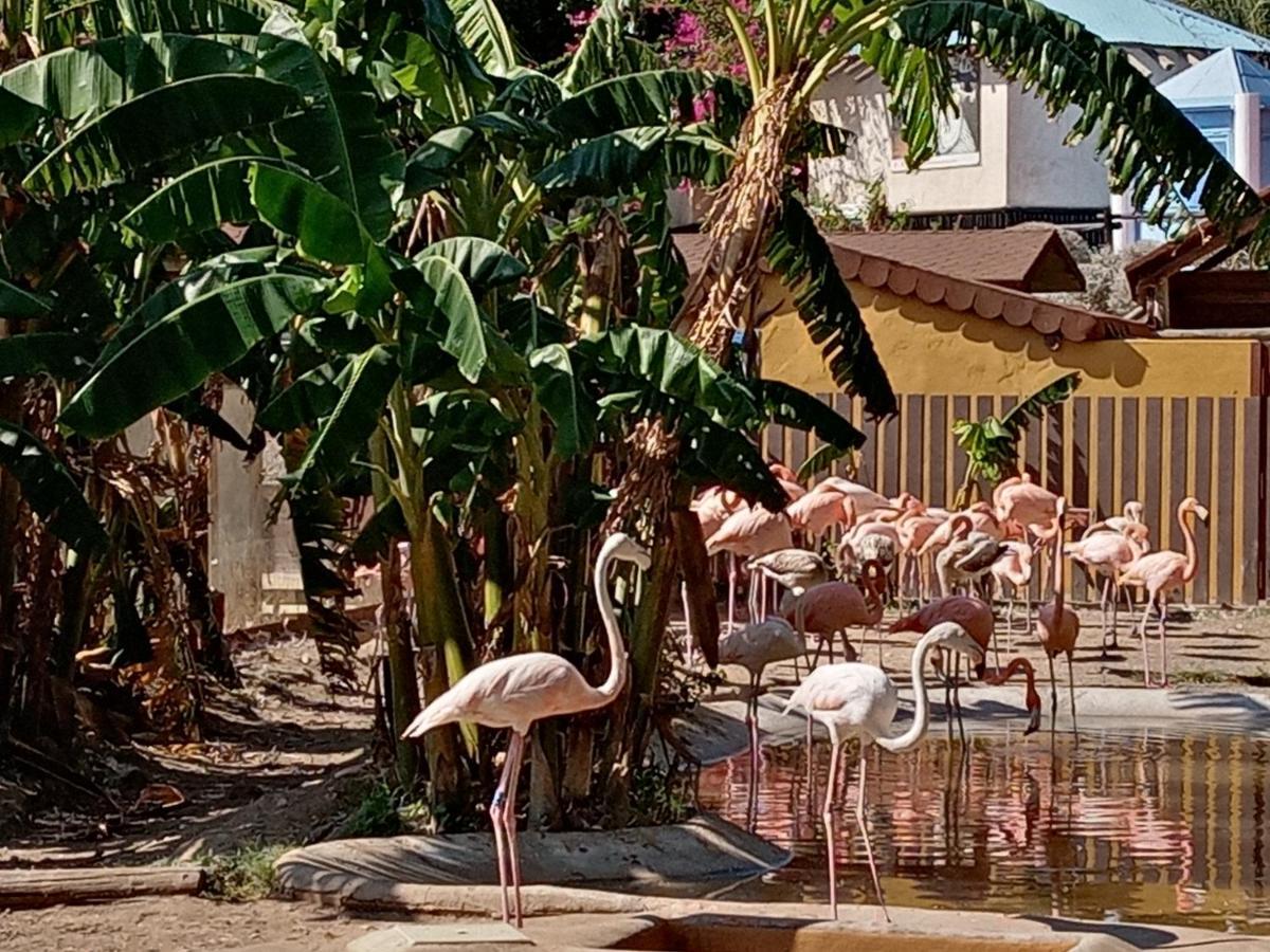 Carpe Diem Studio Benalmádena Zewnętrze zdjęcie